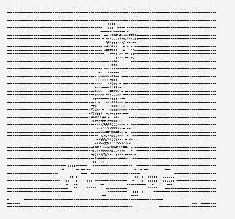 Final ASCII render of the character at 110 columns, produced by the code in this post