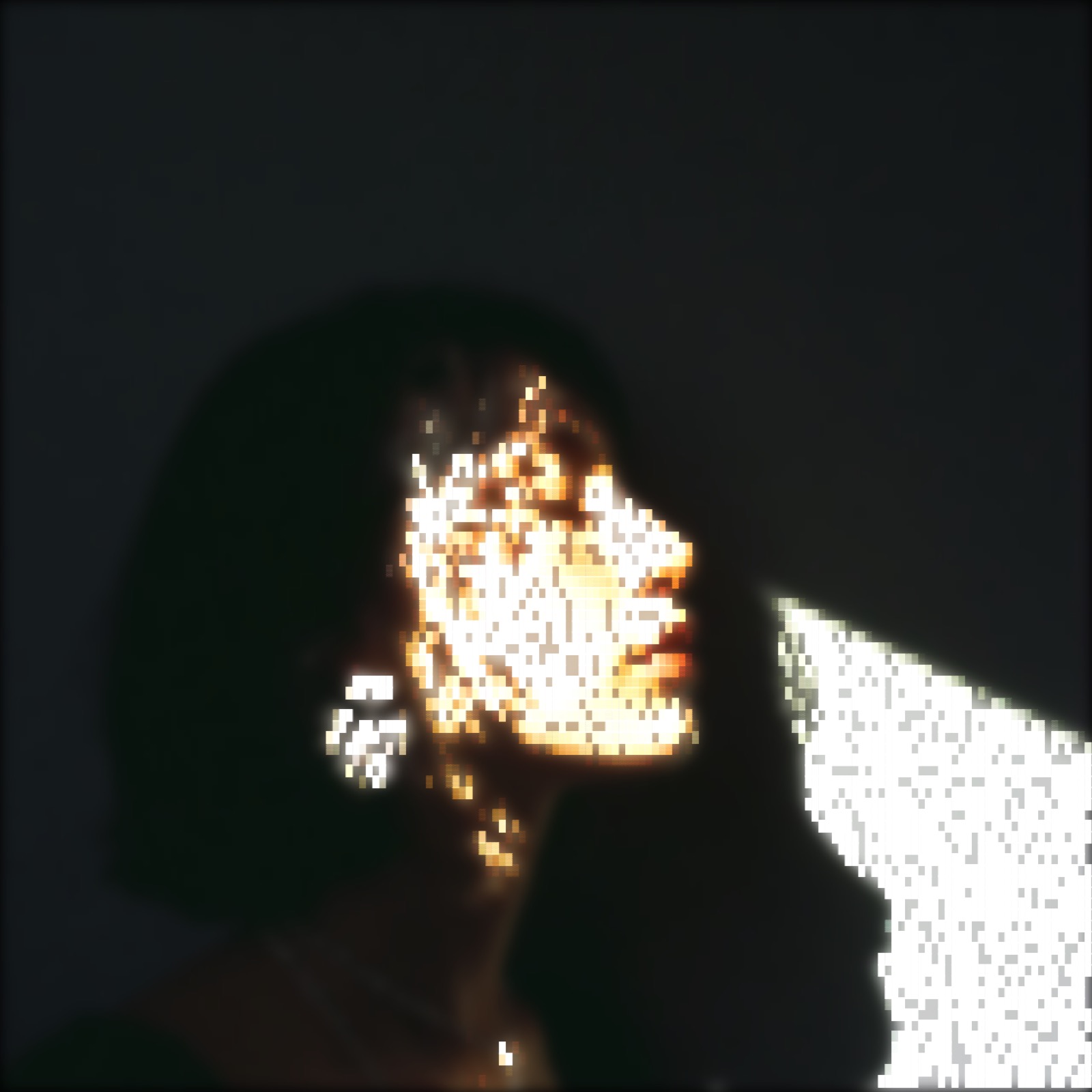 The same image rendered with Unicode block characters — full blocks, half blocks and quarter blocks producing a dense pixel-like terminal aesthetic