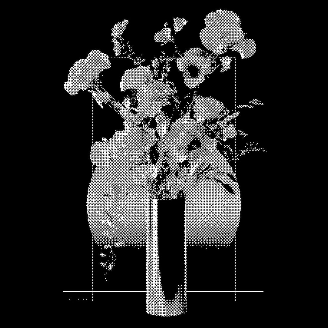 Photo dithered with the Floyd–Steinberg error-diffusion algorithm in 1-bit black and white