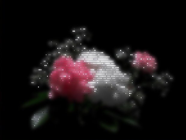 Photo rendered in the Dots style, Comic dots